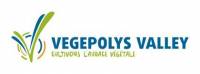 VEGEPOLYS VALLEY